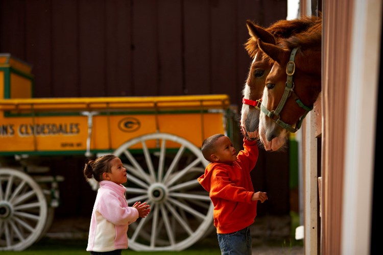 Larsons Farmous Clydesdales